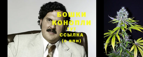 гашик Зеленодольск